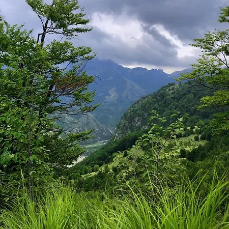 Pashko