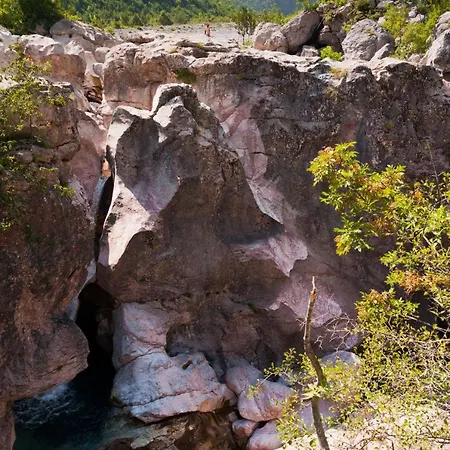 بيت شباب Pashko *