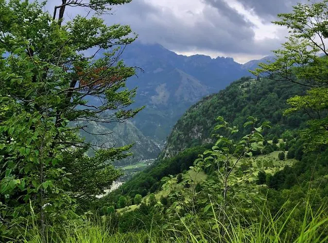Pashko